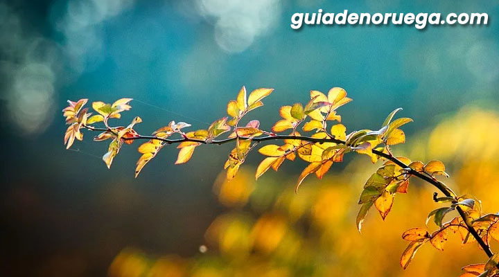 noruega en octubre